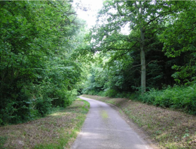 Inspiration d'un chemin rural - Thereval
