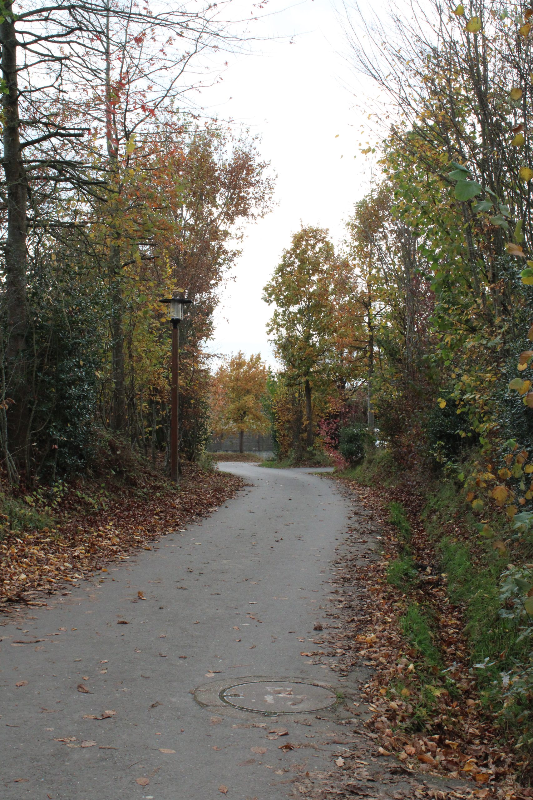 Lotissement autrement : deux exemples Bretons
